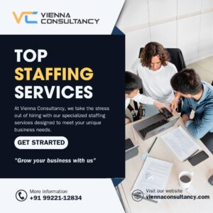 Vienna Consultancy expert staffing services in Pune helping businesses find top talent