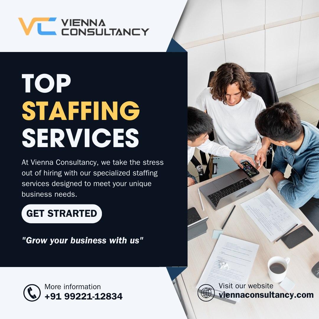 Vienna Consultancy expert staffing services in Pune helping businesses find top talent