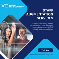 Vienna Consultancy professional staff augmentation services helping businesses grow with flexible skilled talent teams